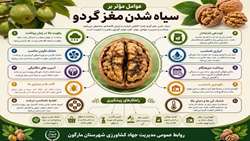 عوامل موثر بر سیاه شدن مغز گردو